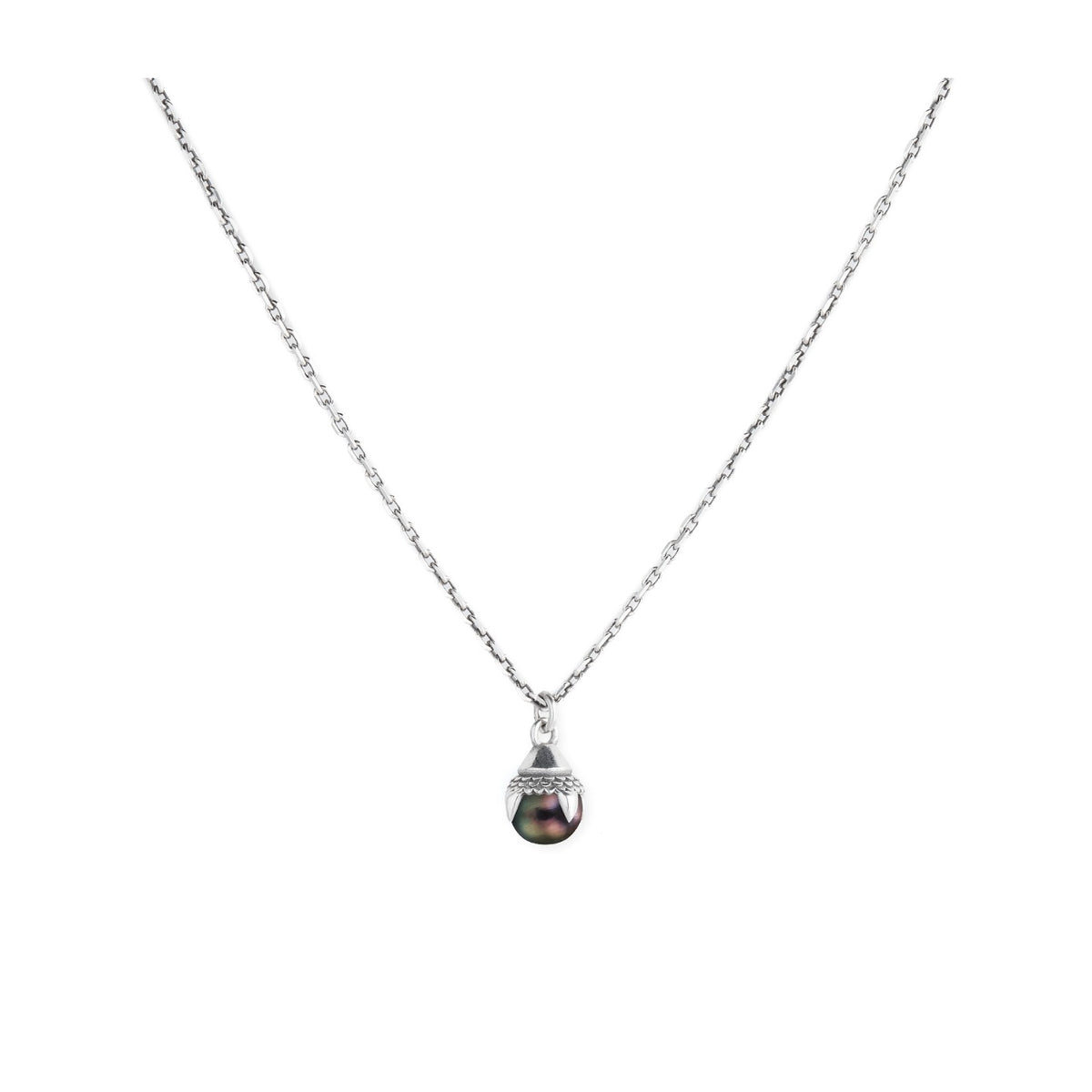 PRP8B_1.jpg